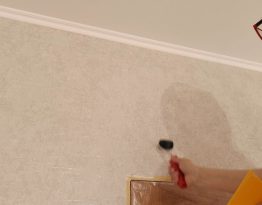 project-img